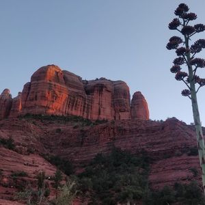 Meet your Posher, Chelsea